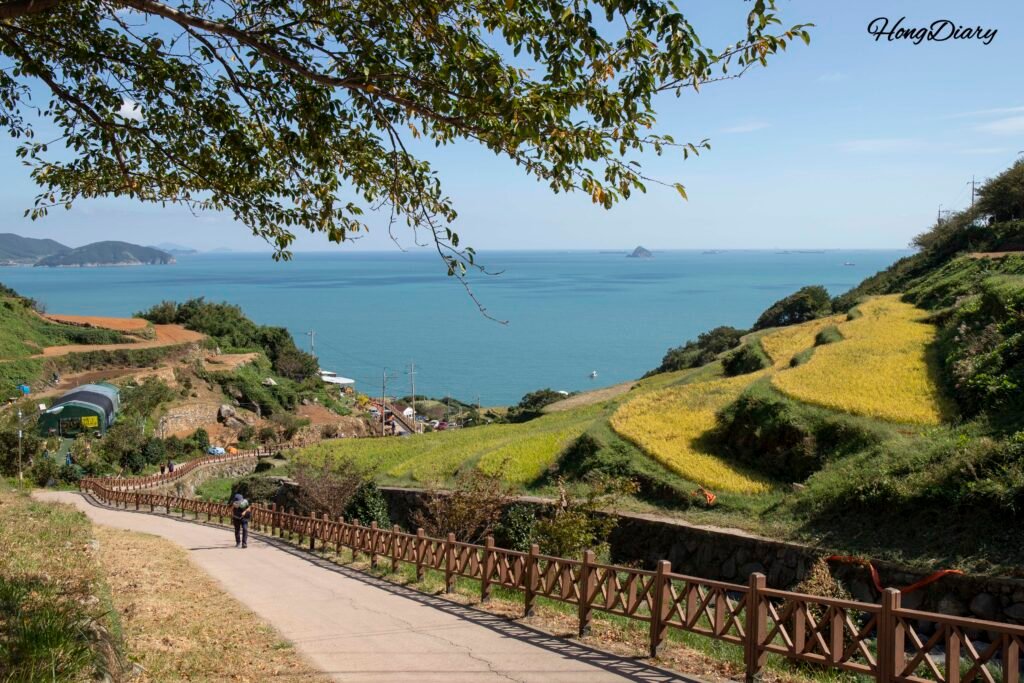 Cafe Tol fairy-tale garden with ocean views in Gacheon terraced village Namhae