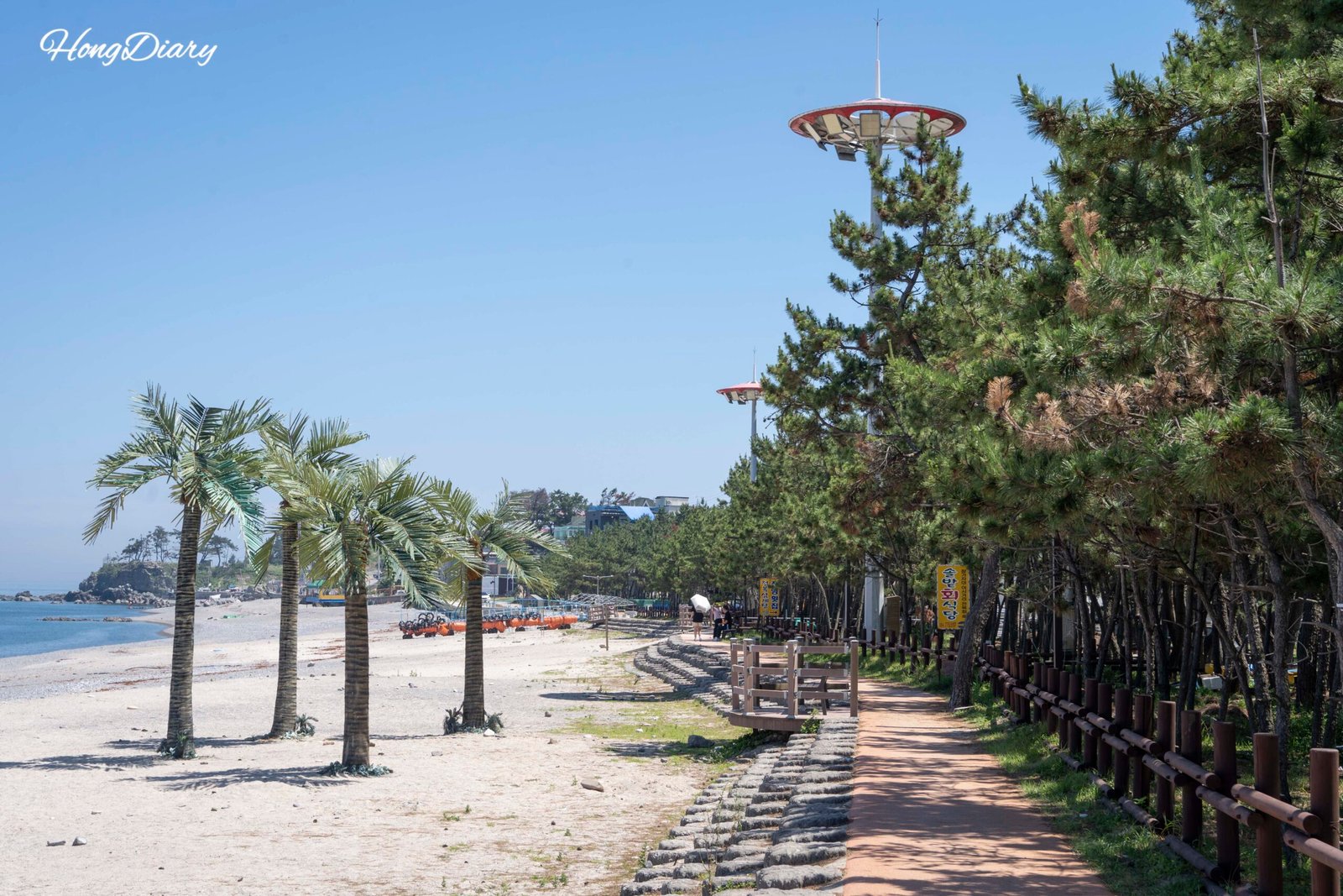 Playa Oryugo Ara en Gyeongju con arena, mar y pinos