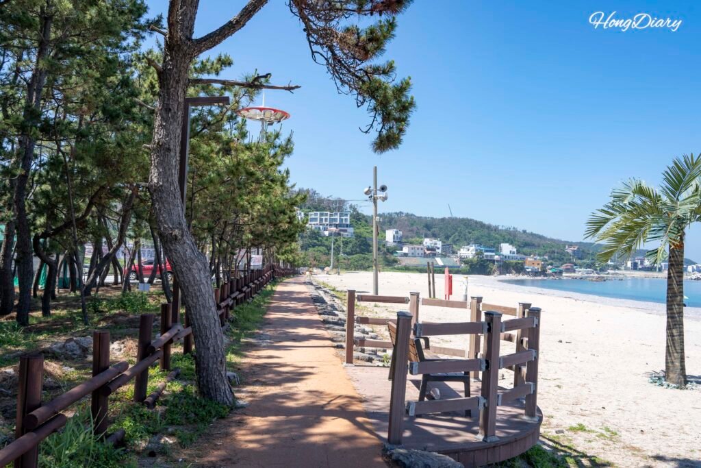 Sendero costero junto a la playa Oryugo Ara en Gyeongju