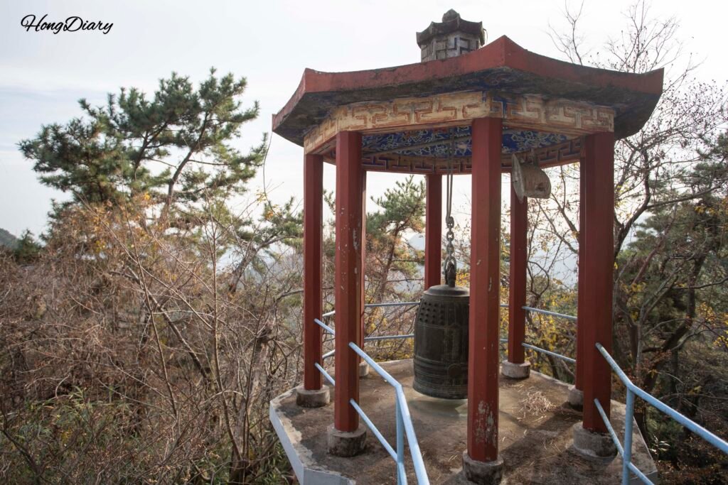 Vegetación y entorno natural visto desde el recinto del templo Seokbulsa, Busan