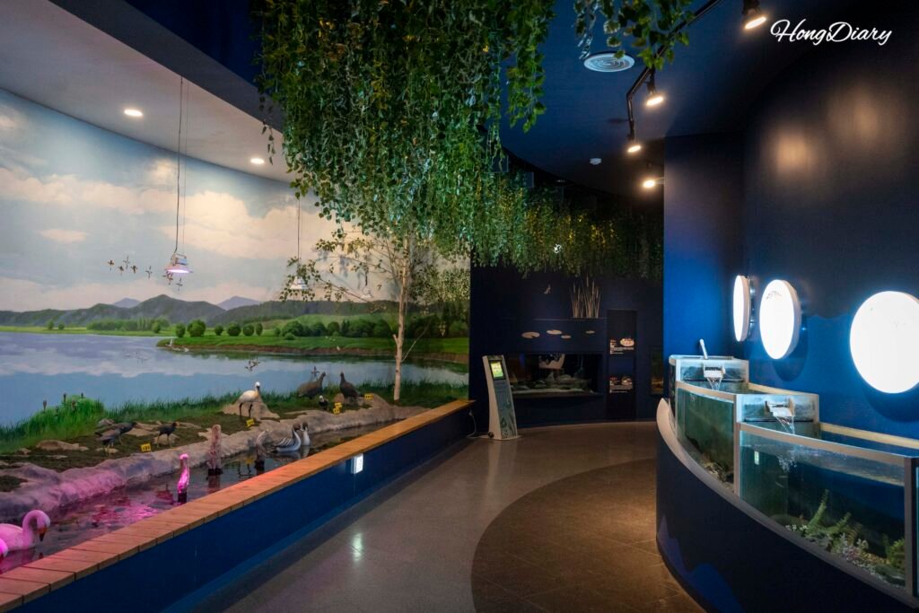 Indoor exhibition at Upo Wetlands Eco Experience Center