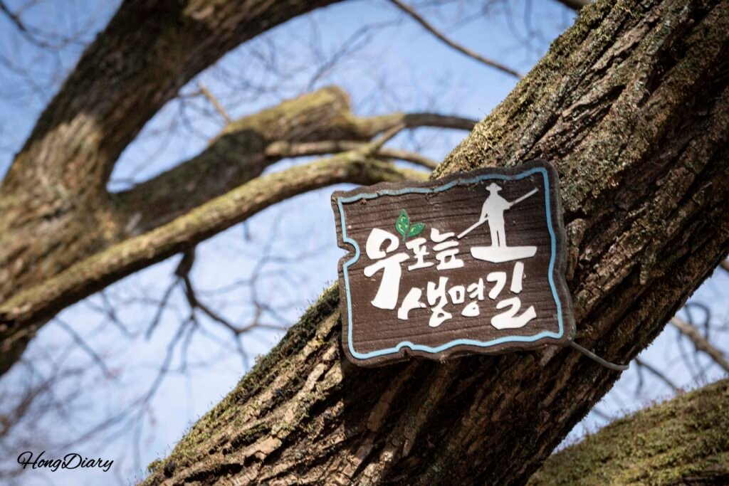 Upo Wetlands (Upo Neup) in Changwon, South Gyeongsang Province Korea