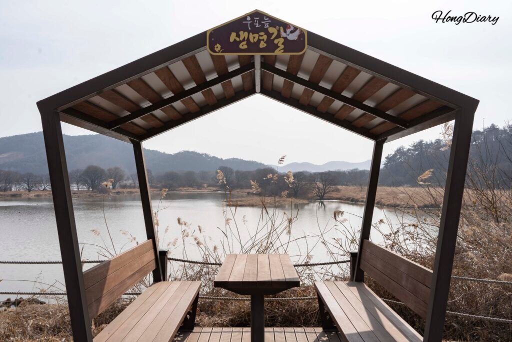 Walking path along Upo Wetlands Life Trail in Changwon Korea