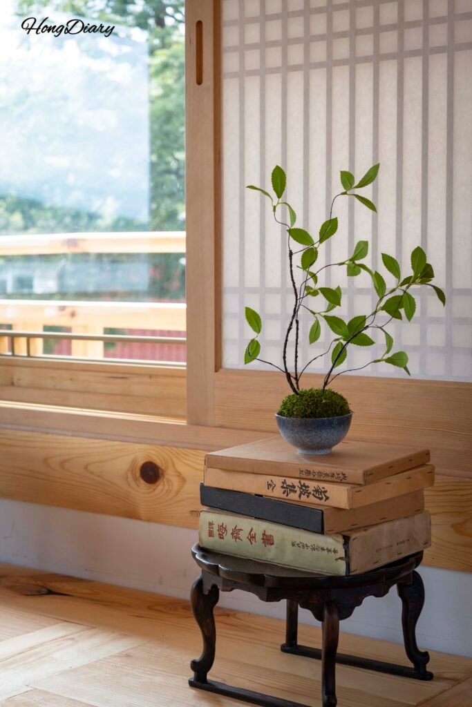 Vitrina decorativa interior de Bichae Bogette, café hanok en Gyeongju