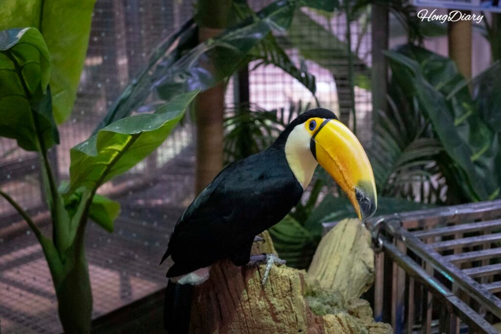 Free-roaming parrots in the Bird Cabin at Daegu Aquarium