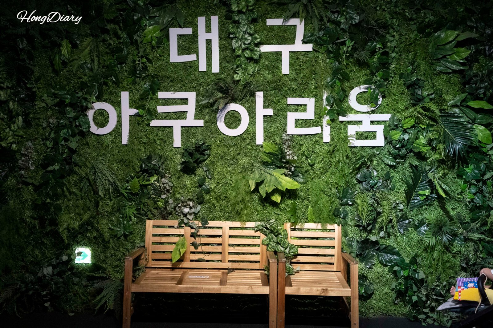Entrance to Daegu Aquarium, 9th floor of Shinsegae Daegu near Dongdaegu Station
