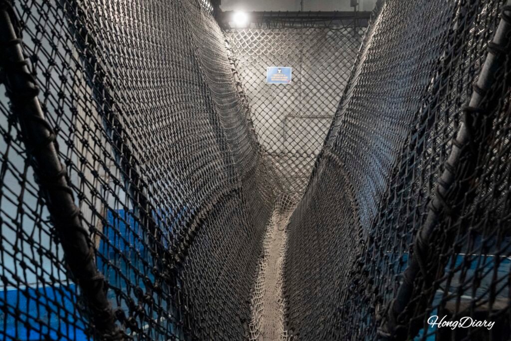 Puente colgante sobre el tanque en el Acuario de Daegu