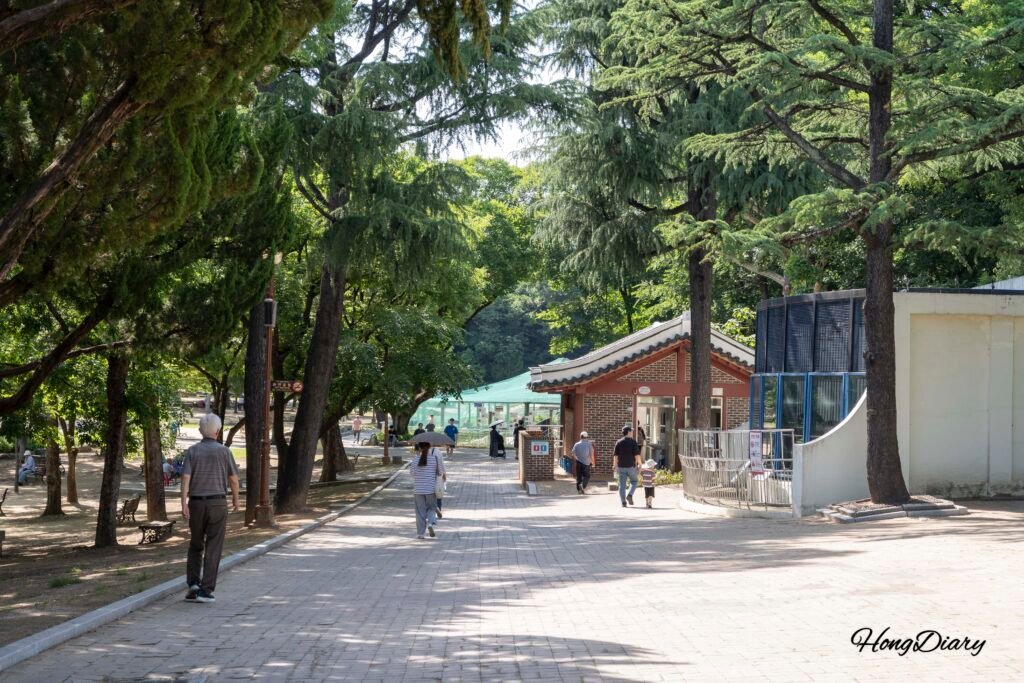 大邱達城公園内を歩く緑豊かな園路
