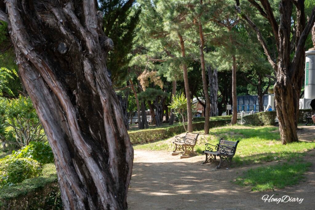 Sendero arbolado dentro del parque Dalseong Daegu