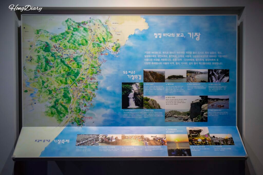 釜山国立水産科学館の展示館入口・機張紹介展示