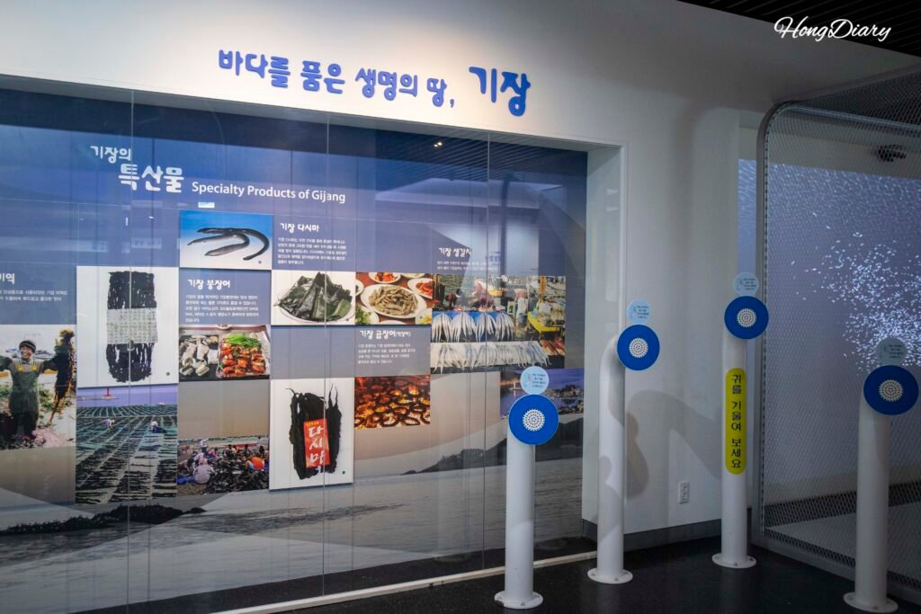 Gijang promotional display inside the Fisheries Science Museum Busan