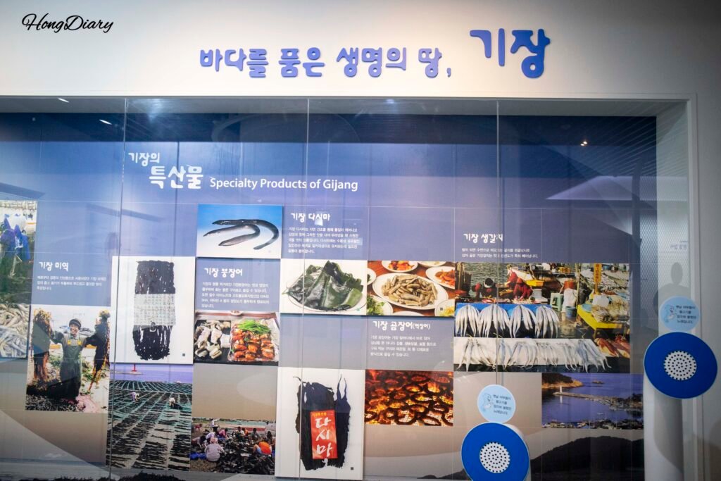 Sala de promoción de Gijang en la entrada del Museo de Ciencias de la Pesca de Busan