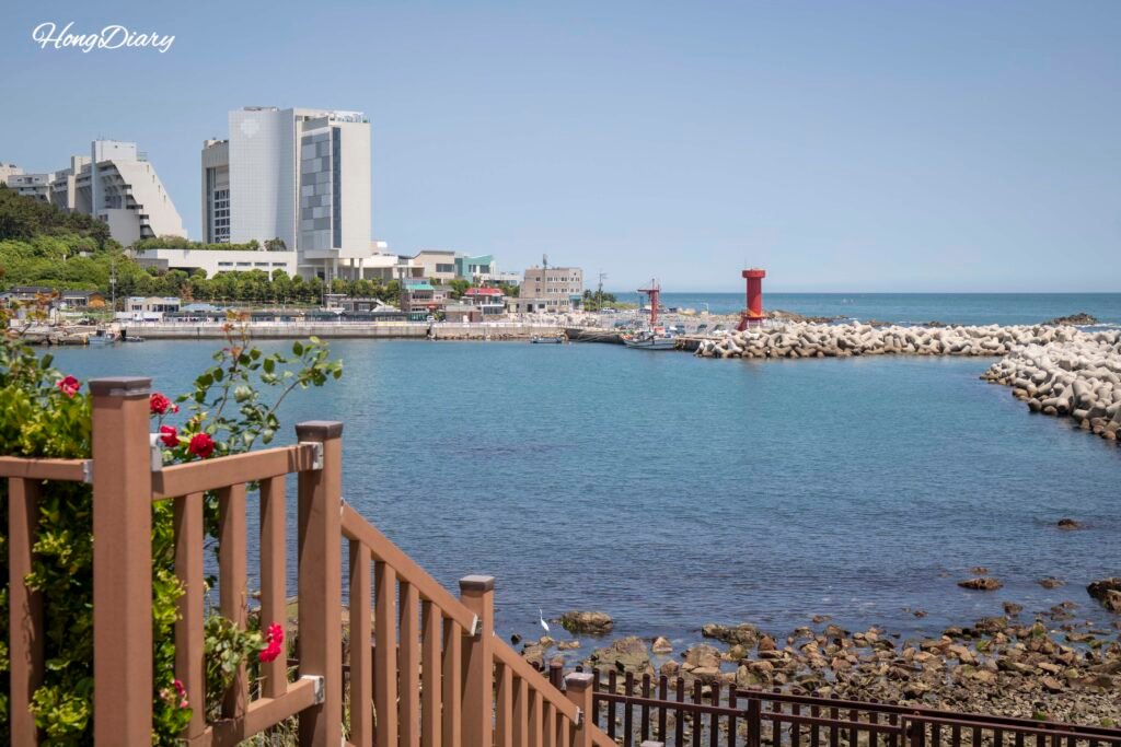 Ocean view in front of the National Fisheries Science Museum in Gijang Busan
