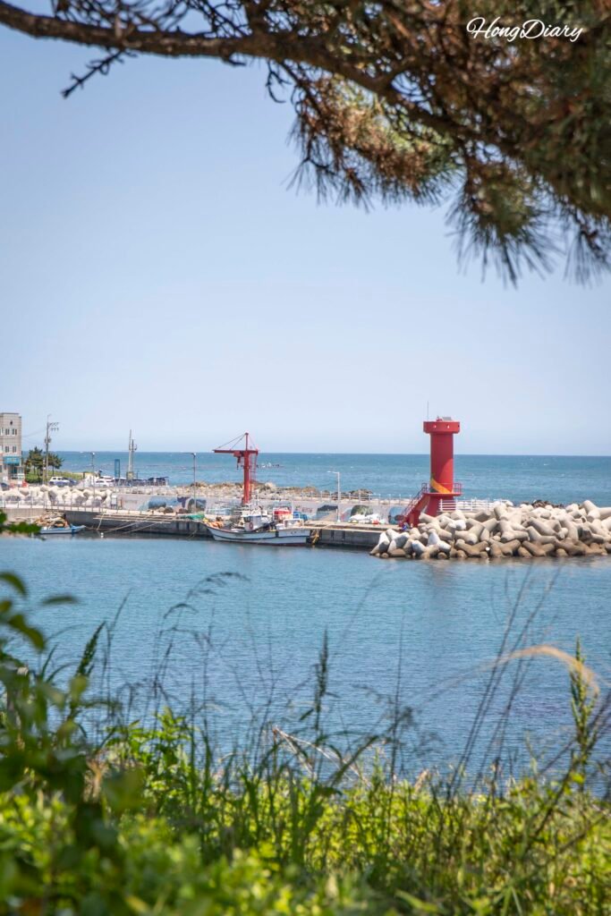 Vista al mar y al faro desde el parque frente al Museo de Ciencias de la Pesca de Busan