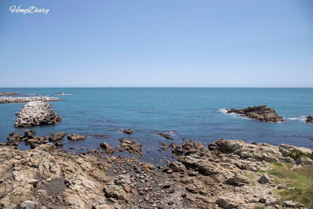 View of the Gijang coastline from the outdoor terrace of the Fisheries Science Museum