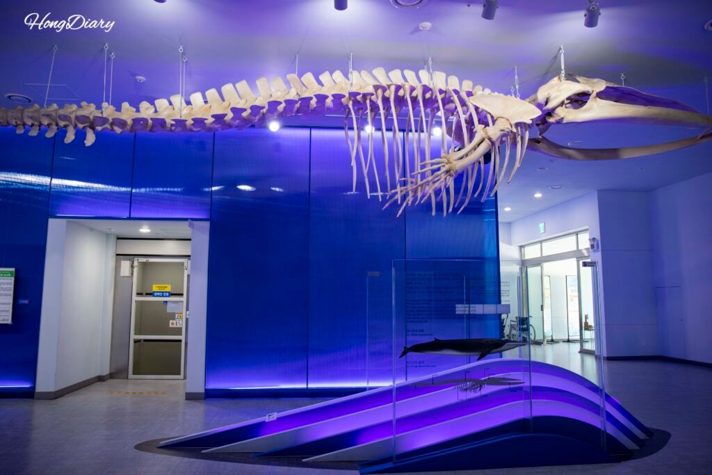 Esqueleto de ballena real en la entrada del Museo de Ciencias de la Pesca de Busan