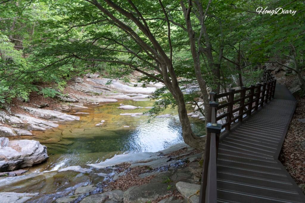 Deck trail overlooking Hobakso Valley stream in Miryang