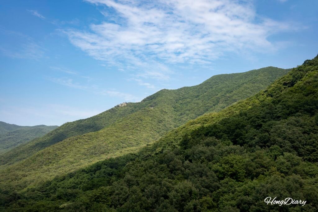 密陽氷谷ケーブルカーが山の斜面を上っていく様子