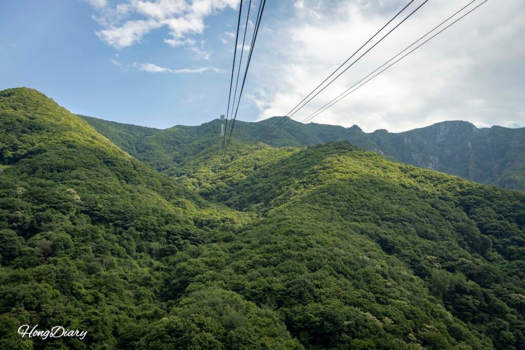 Ice Valley Cable Car cabin ascending through forested ridge toward Yeongnam Alps
