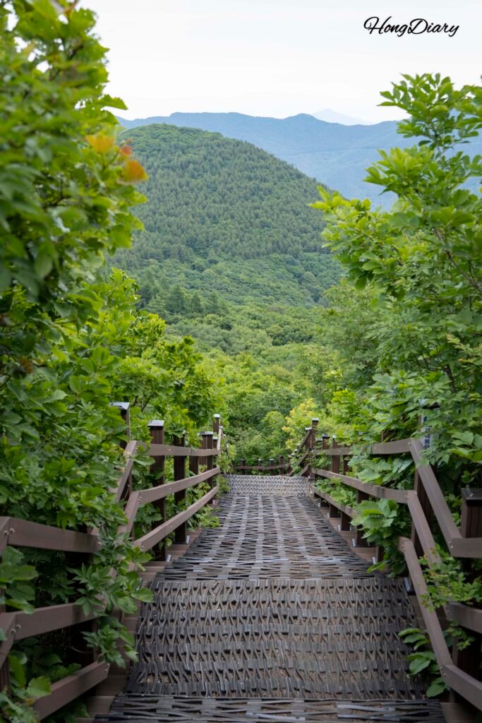 密陽氷谷ケーブルカー山頂の遊歩道と散策路