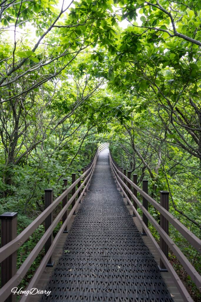 Sendero de madera en la cima del teleférico Valle del Hielo Miryang hacia el mirador