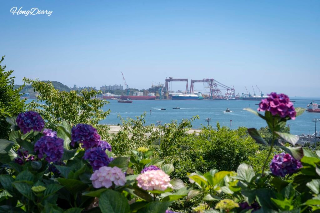 長生浦港を背景に咲くあじさい