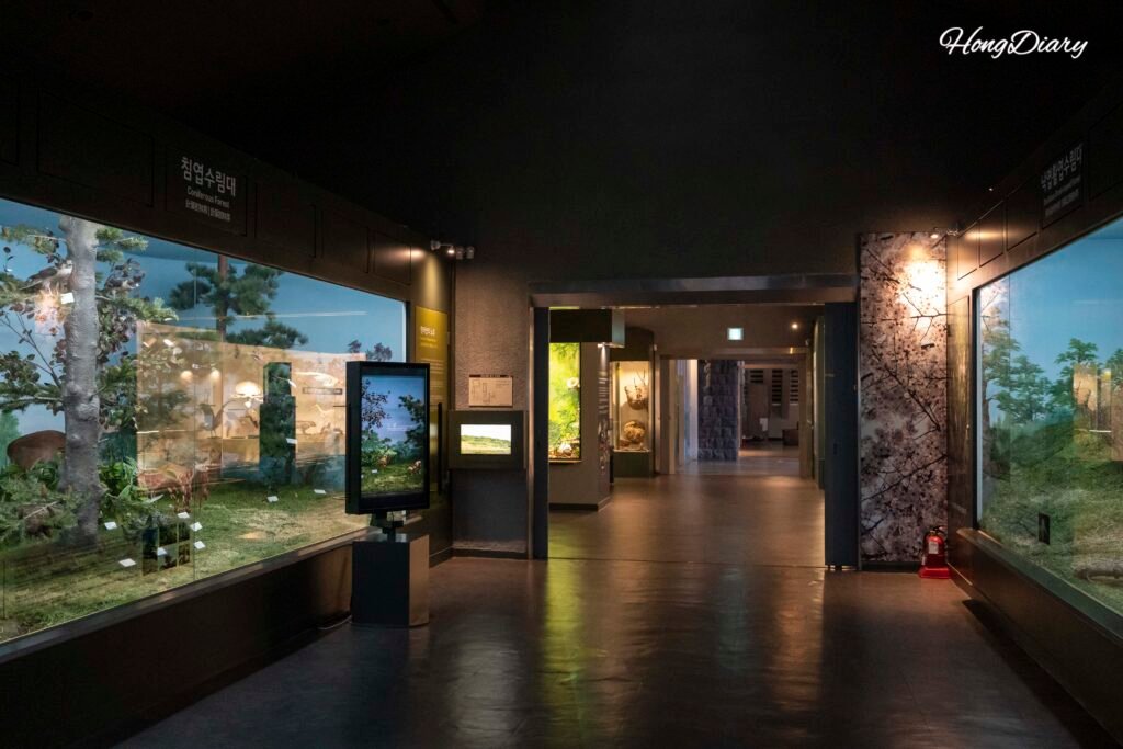 Entrada del Museo Folclórico Natural de Jeju en Jeju City Corea del Sur