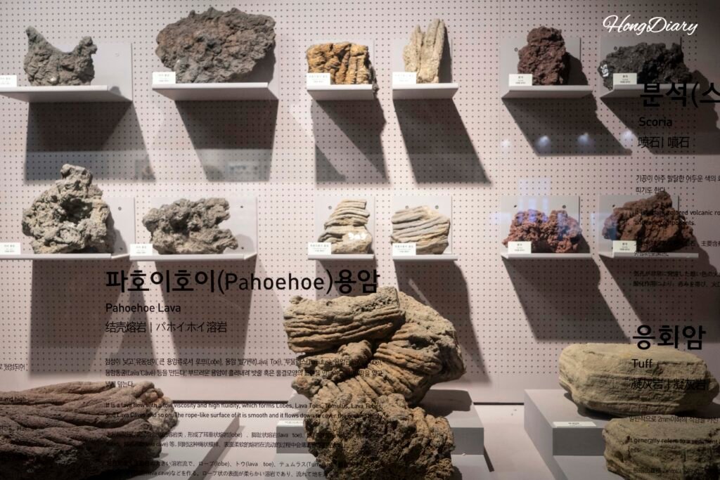 Especímenes de roca volcánica basáltica de Jeju en el Museo Folclórico Natural