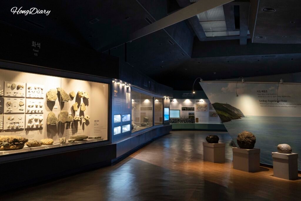 Natural history exhibition hall inside Jeju Folk and Natural History Museum