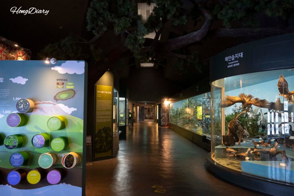 済州民俗自然史博物館の自然史展示室、地質・生態系展示