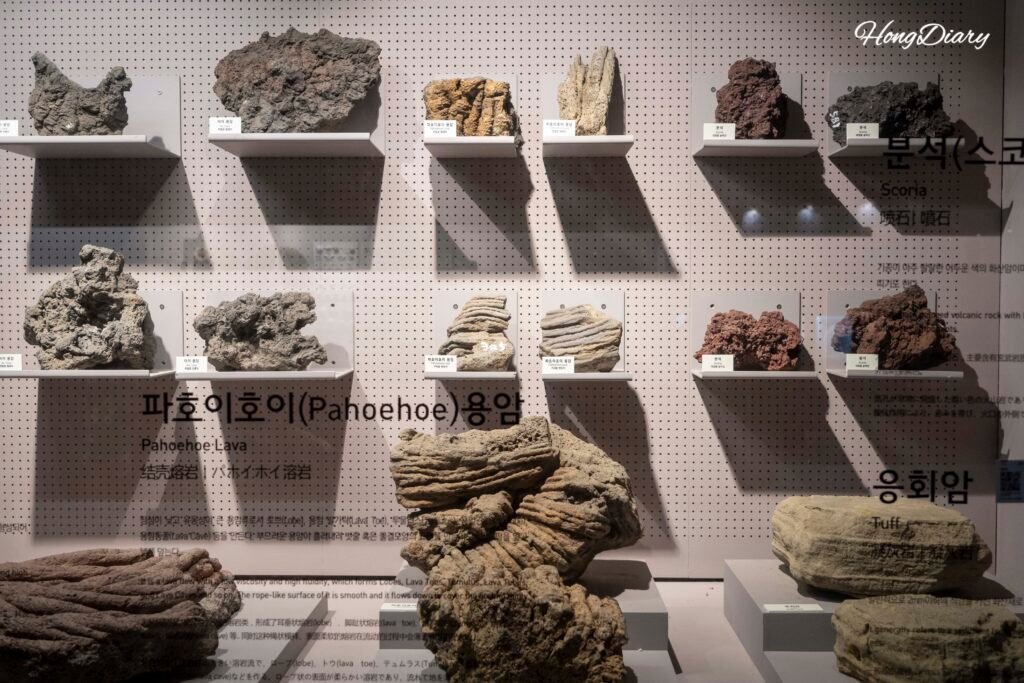 Jeju volcanic basalt lava rock specimens in natural history exhibition at Jeju Folk and Natural History Museum