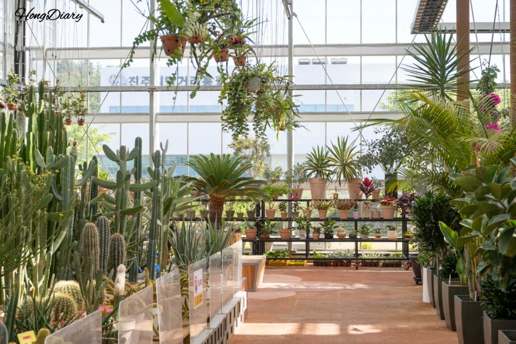 Tropical plants inside the botanical greenhouse at Dumesil Agricultural Theme Park