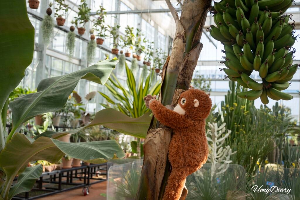Tree and monkey decoration at Dumesil Agricultural Theme Park, Jinju