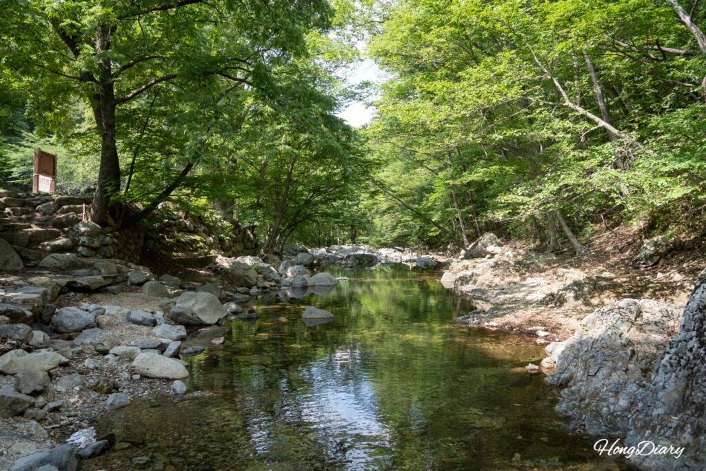 Naewonsa Valley forested stream near Yangsan