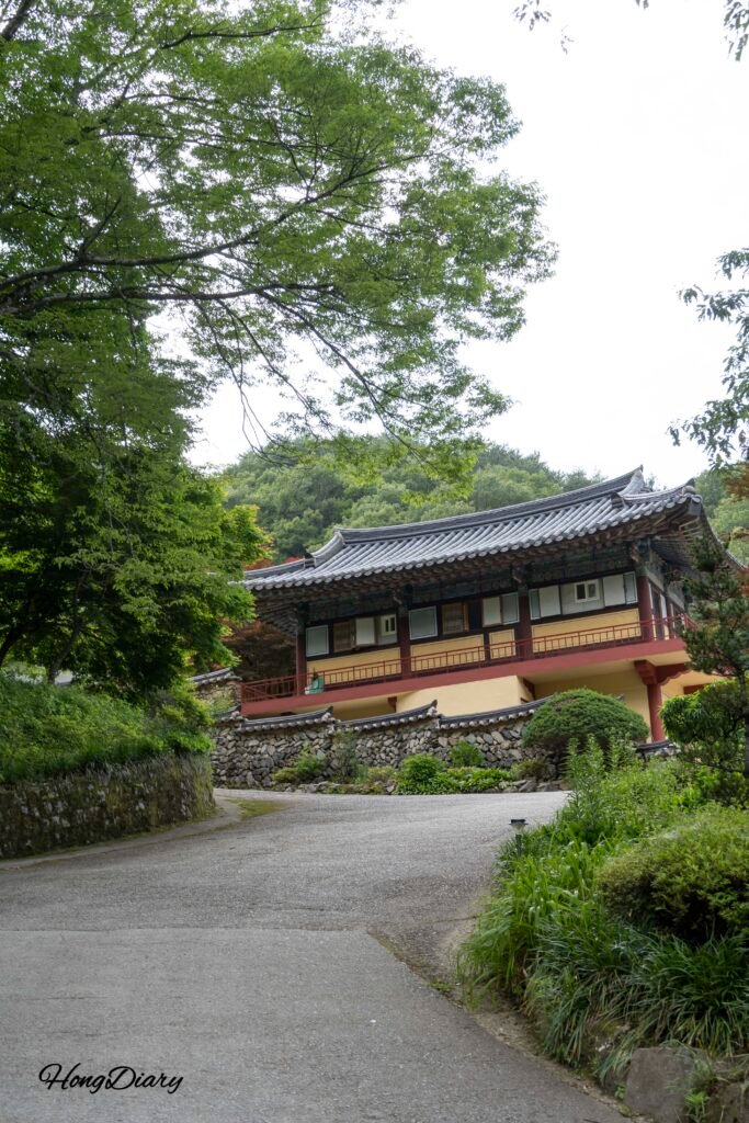 内院寺へ続く渓谷沿いの道