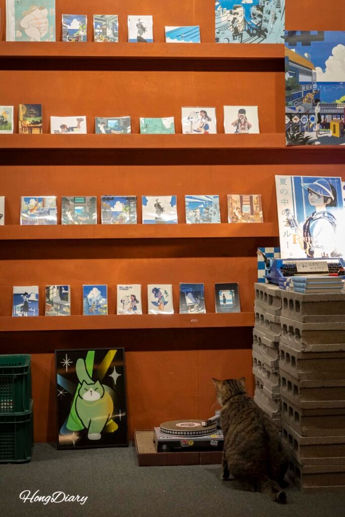 Resident cat Lemon or Lime among the books at Simple Bookstore Daegu