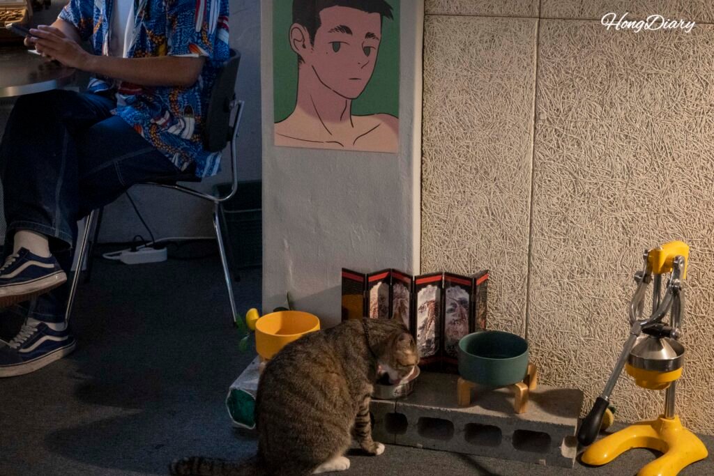 Cat in the interior of Simple Bookstore, retro bookstore cafe in Daegu