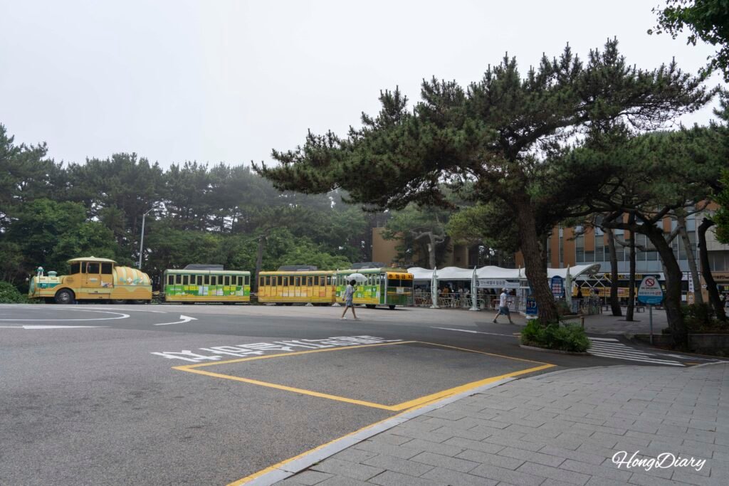 Parada del tren Danubi en el Parque Taejongdae, Busan