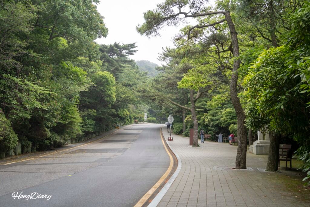 太宗寺へ向かう遊歩道