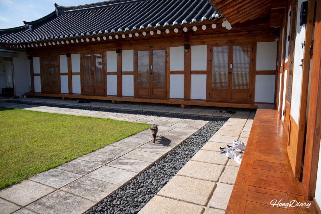 Gato residente del alojamiento hanok Wonhwaru corriendo en el patio de Gyeongju