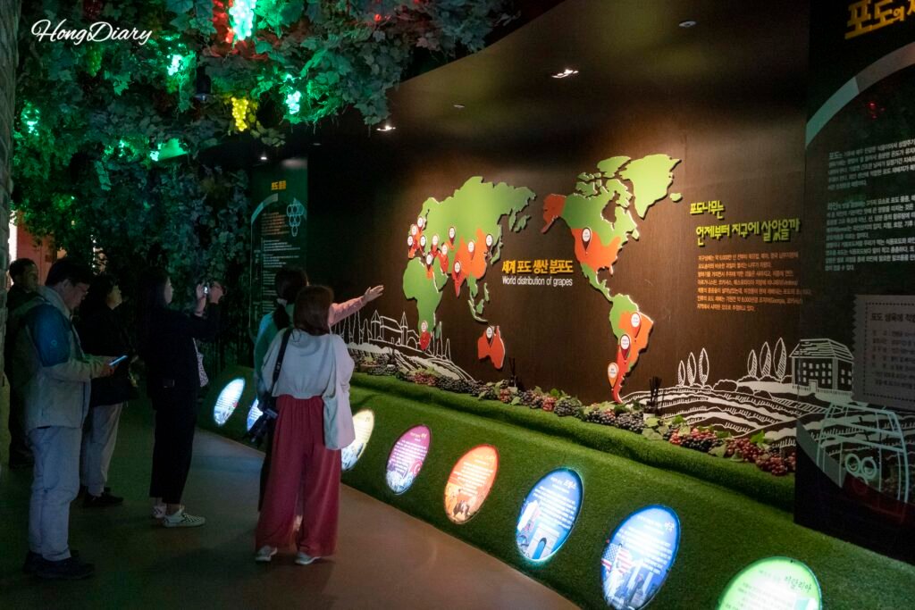 Interior of the Yeongdong Wine Tunnel showing themed zones