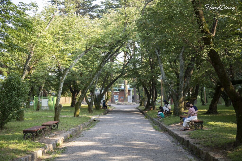 Moss-covered trail lined with cherry trees in summer at Beopgi Reservoir, Yangsan