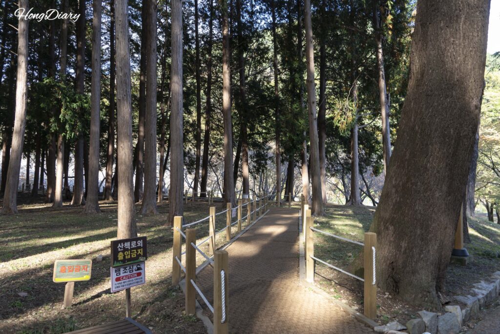 法基水源地の散策路に掲示された「ヘビ注意」の看板と木々（梁山）