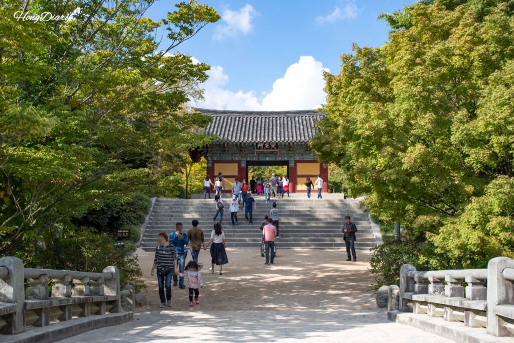 Entrance path to Bulguksa Temple in Gyeongju with stone lanterns and trees lining the walkway