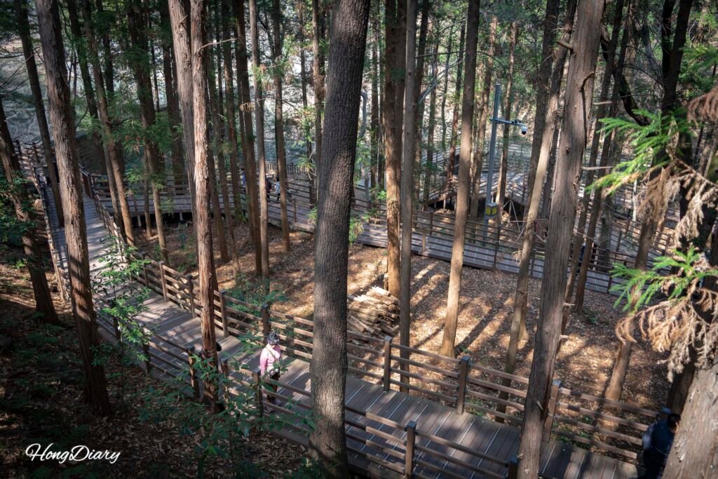 Deck trail Nokdam-gil at Busan Children's Grand Park