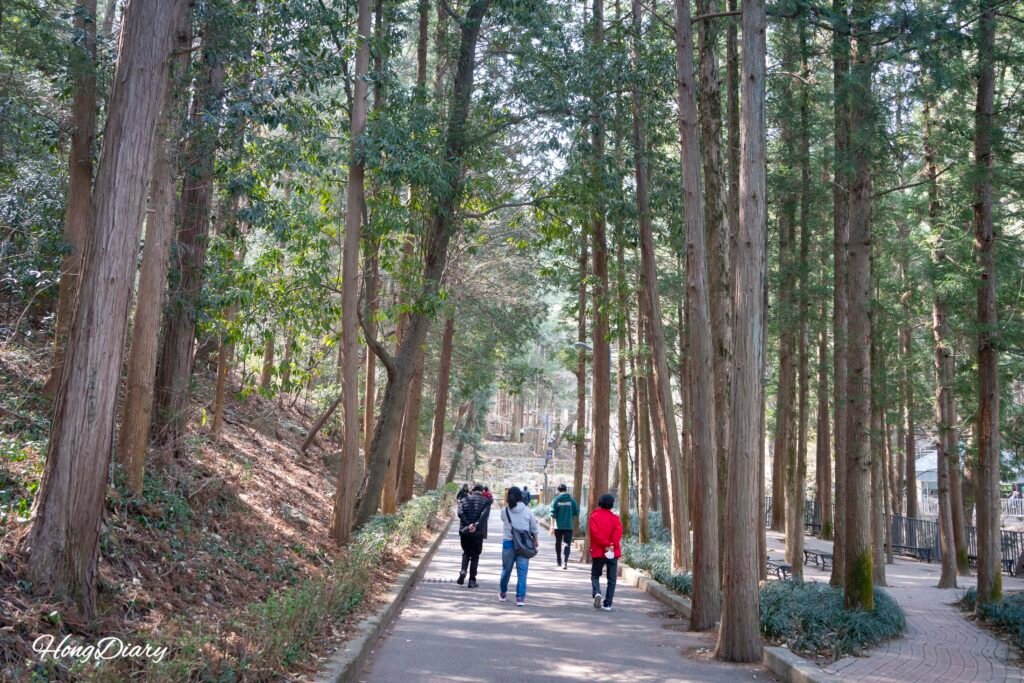 Sendero elevado de madera en Busan Children's Grand Park
