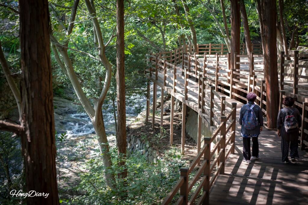 釜山子供大公園の緑潭(ノクダム)道デッキトレイル