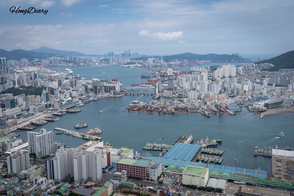 天馬山複合展望台 釜山港 南港大橋 絶景