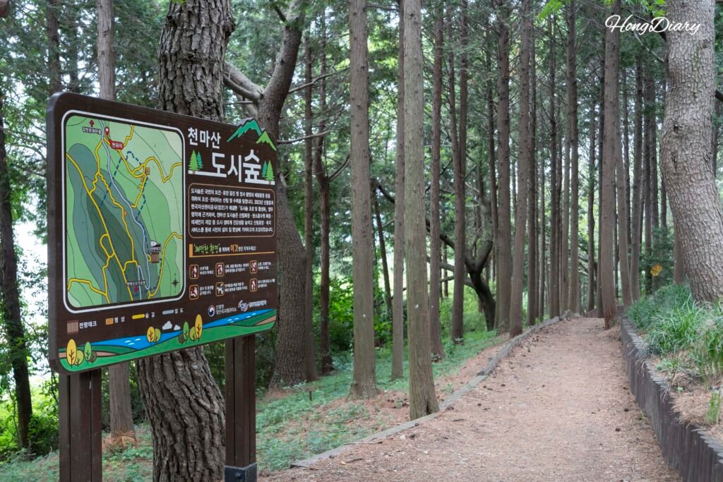 Path to Cheonmasan Observatory Busan hiking trail paved