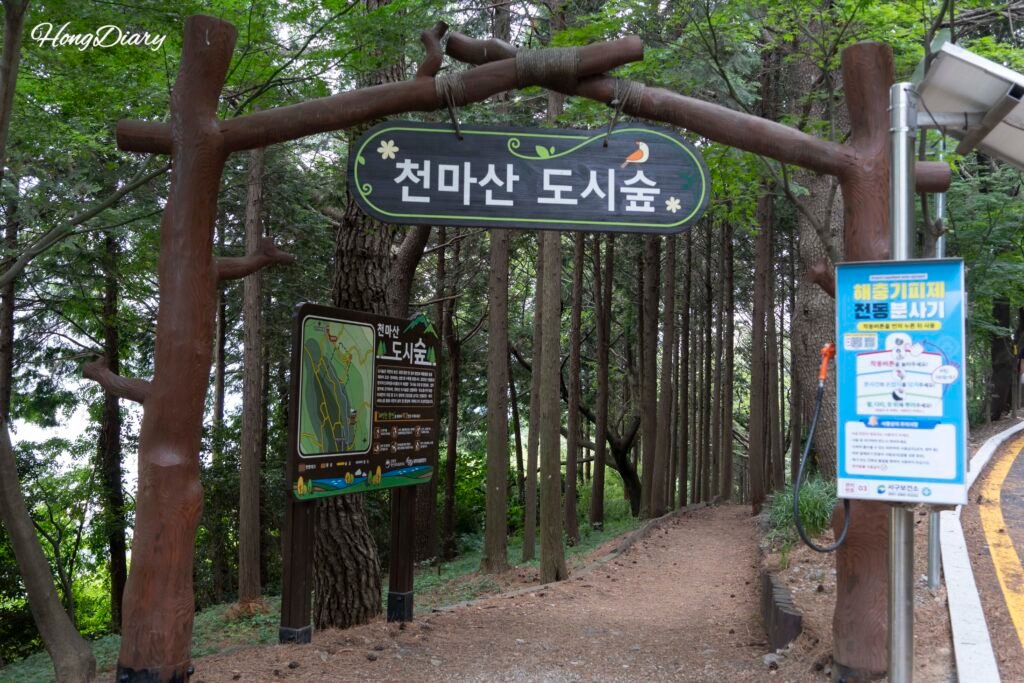 天馬山複合展望台 登り道 徒歩40分